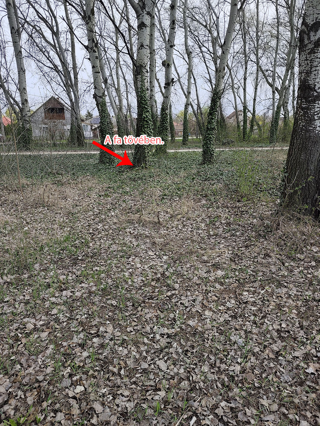 Képes segítség a rejtekhez